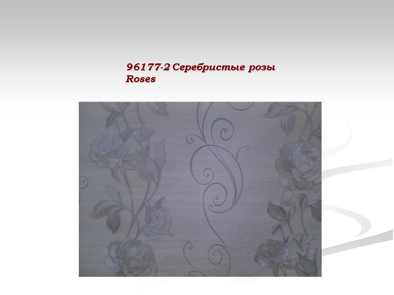 96177-2 Серебристые розы Roses